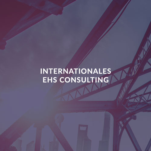 INTERNATIONALES EHS CONSULTING